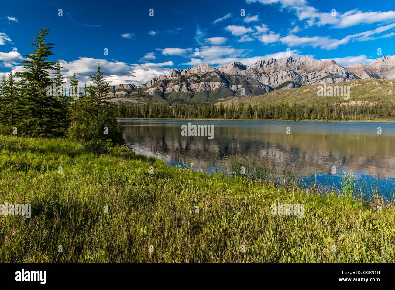 Le Lac Talbot, Jasper National Park, Alberta, Canada Banque D'Images