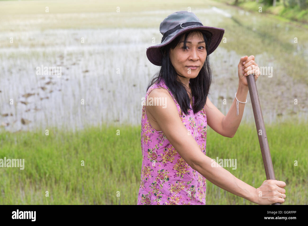 Femme au travail champ de riz avec hoe Banque D'Images