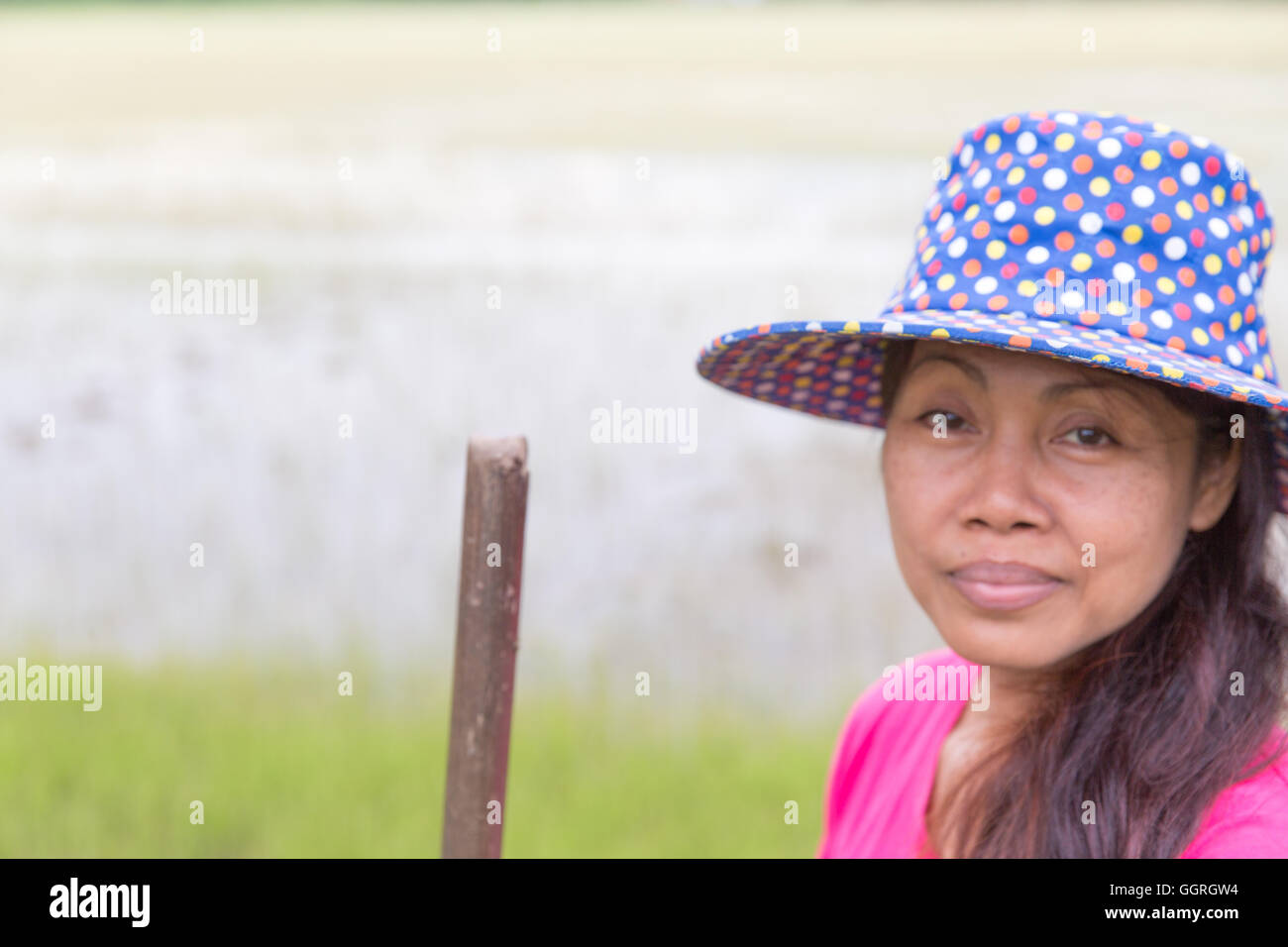 L'âge moyen du riz femme avec champ de riz à l'arrière-plan Banque D'Images