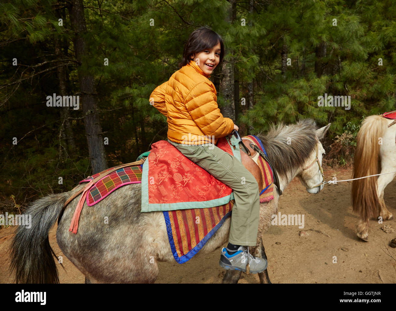 Mixed Race boy riding horse Banque D'Images