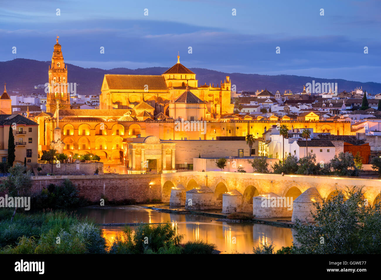 Cordoue, Espagne vieille ville skyline à l'Mosque-Cathedral de nuit. Banque D'Images