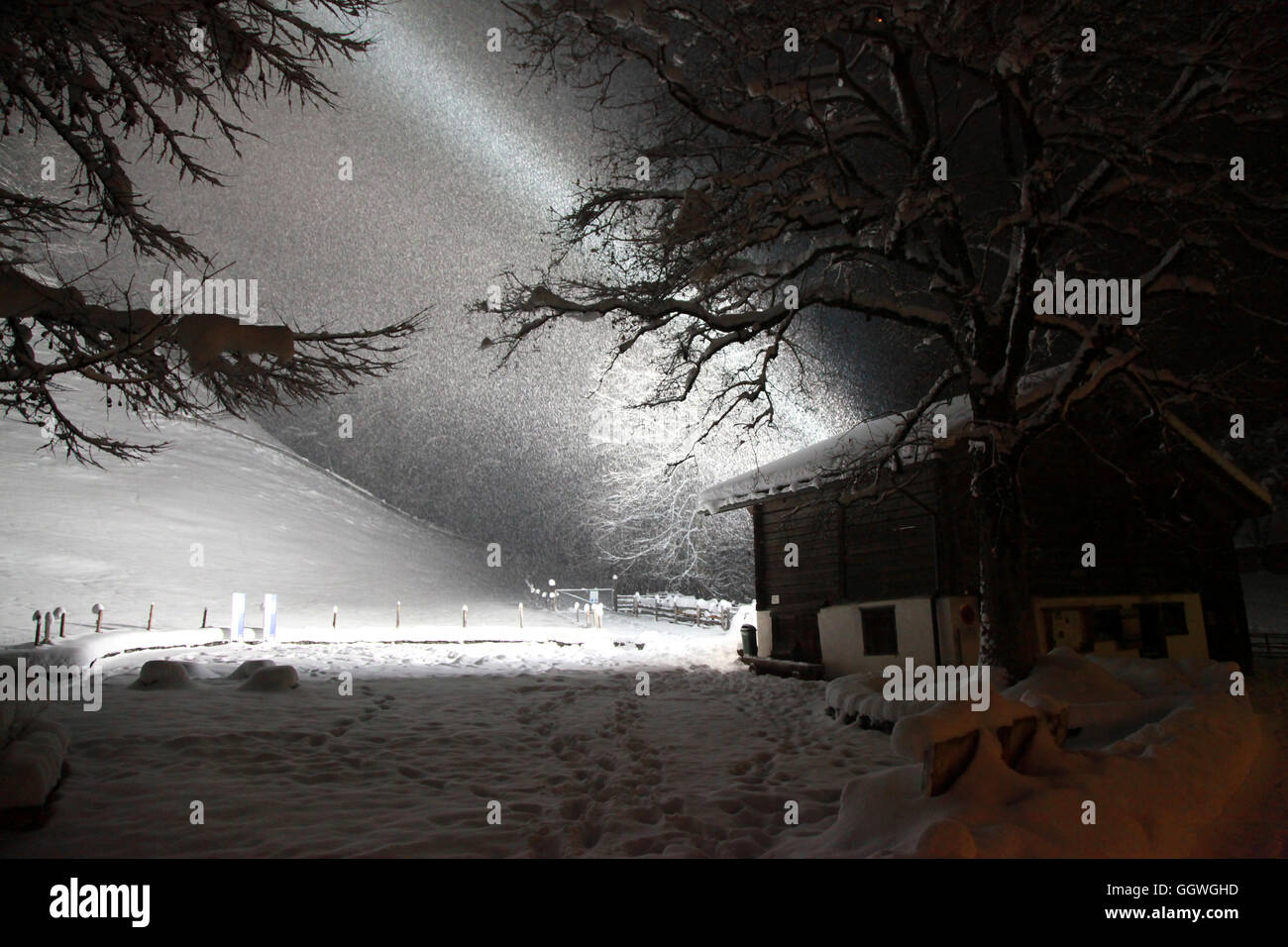 Un refuge alpin suisse pour les animaux est englouti par une tempête Banque D'Images