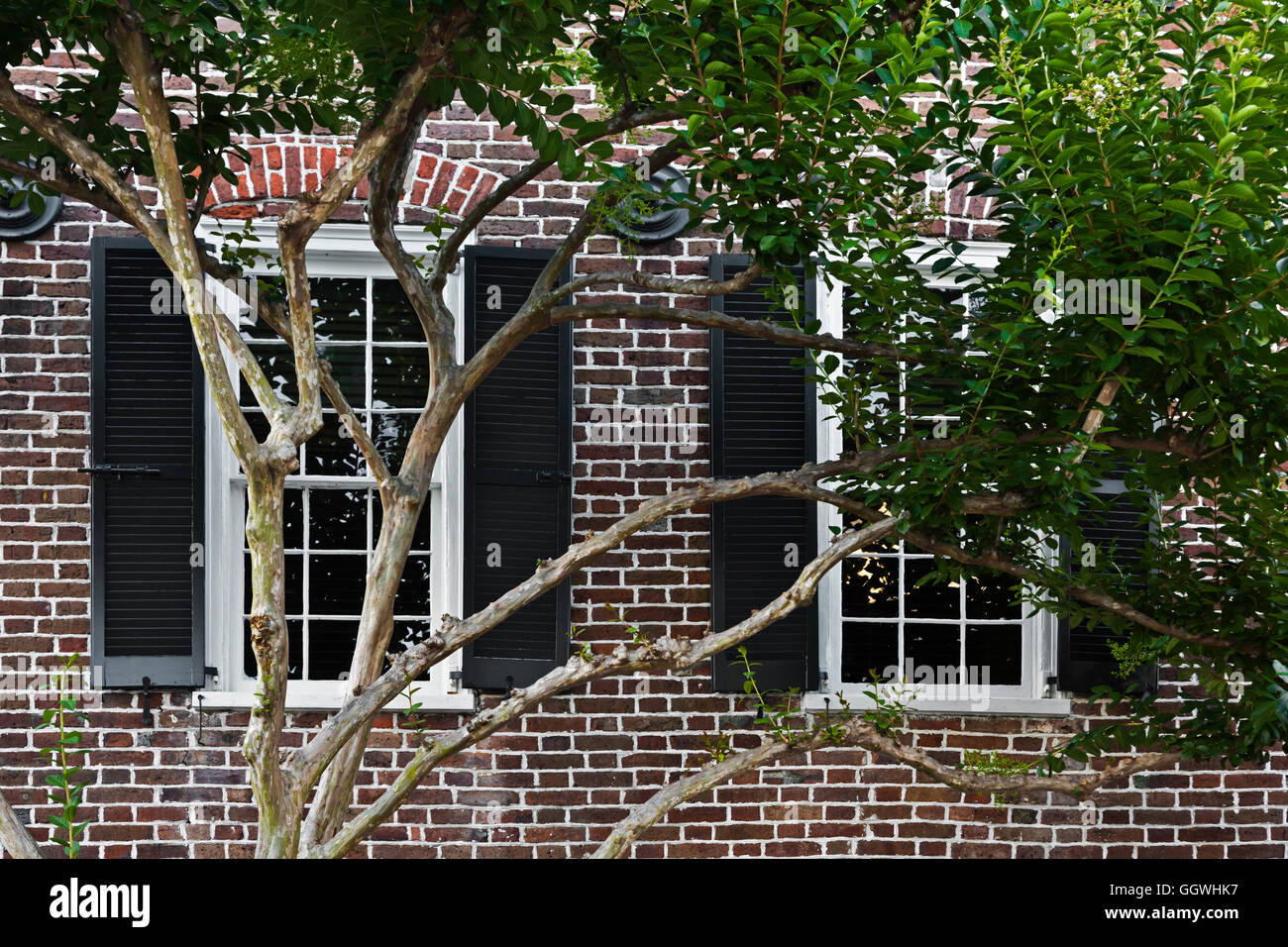 Demeures du sud dans la vieille partie historique de Charleston, CAROLINE DU SUD Banque D'Images