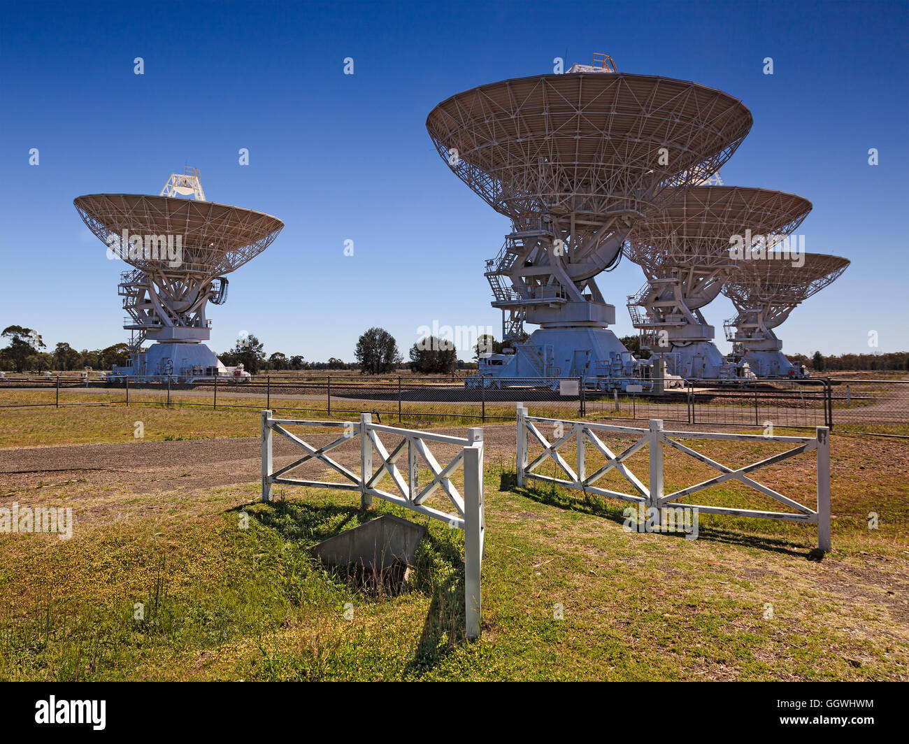 Paddock en bois de la porte compact CSIRO antennes radio baie dans Narrabri, NSW, Australie. D'énormes plats scientifique face à ciel bleu sur Banque D'Images