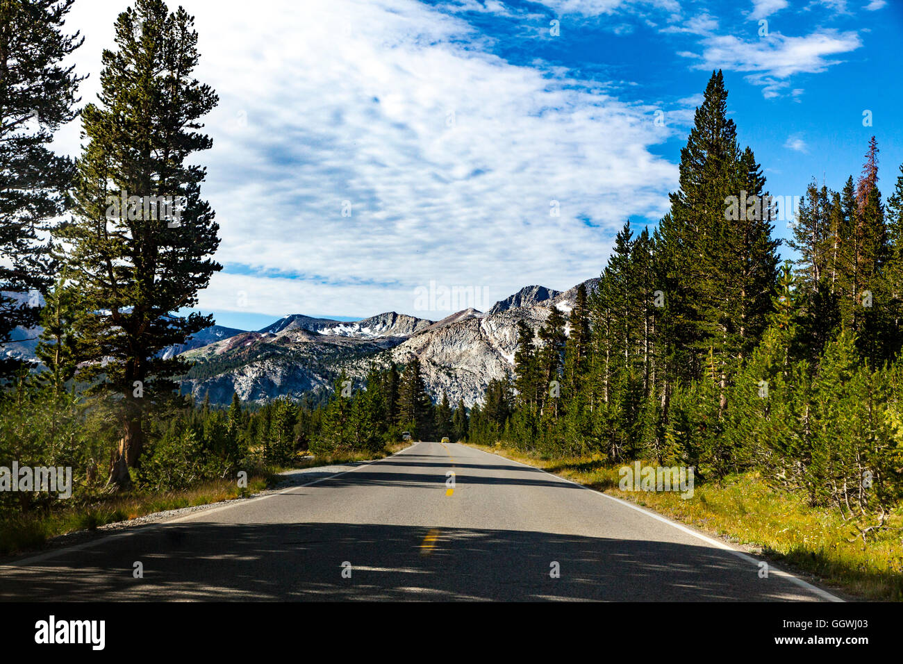 L'autoroute 120 dans la région de Yosemite National Park Banque D'Images
