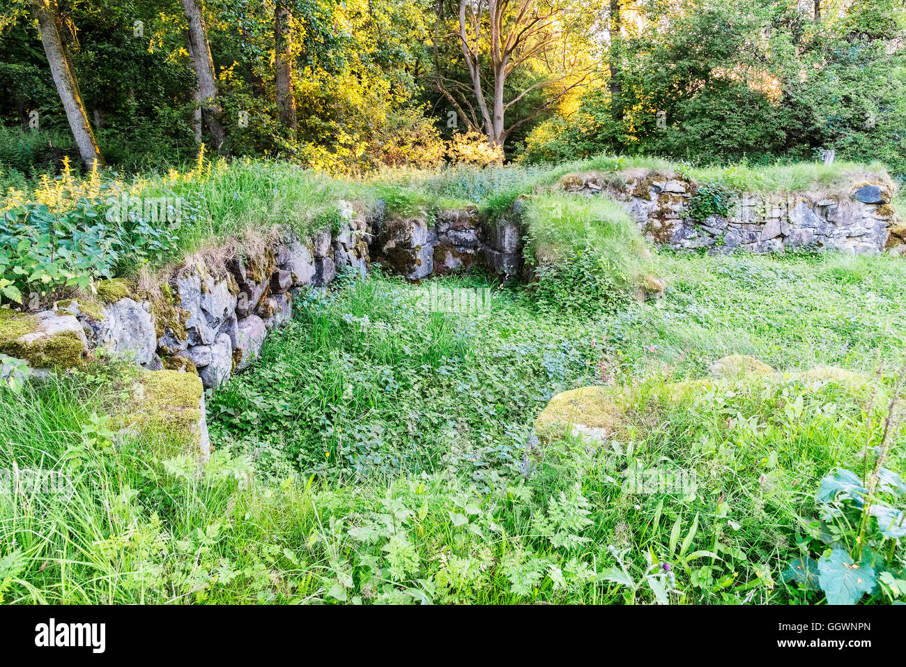 Les ruines d'Mollerod château repris par la nature dans la région suédoise de Malmö. Banque D'Images