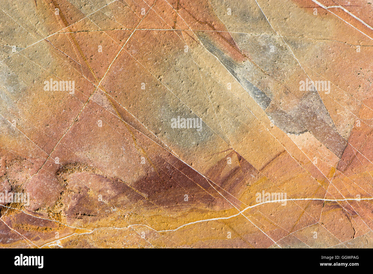 Roche sédimentaire de couleur arrière-plan. Les fissures et les caractéristiques géologiques en grès sur la côte ouest de l'Angleterre Banque D'Images