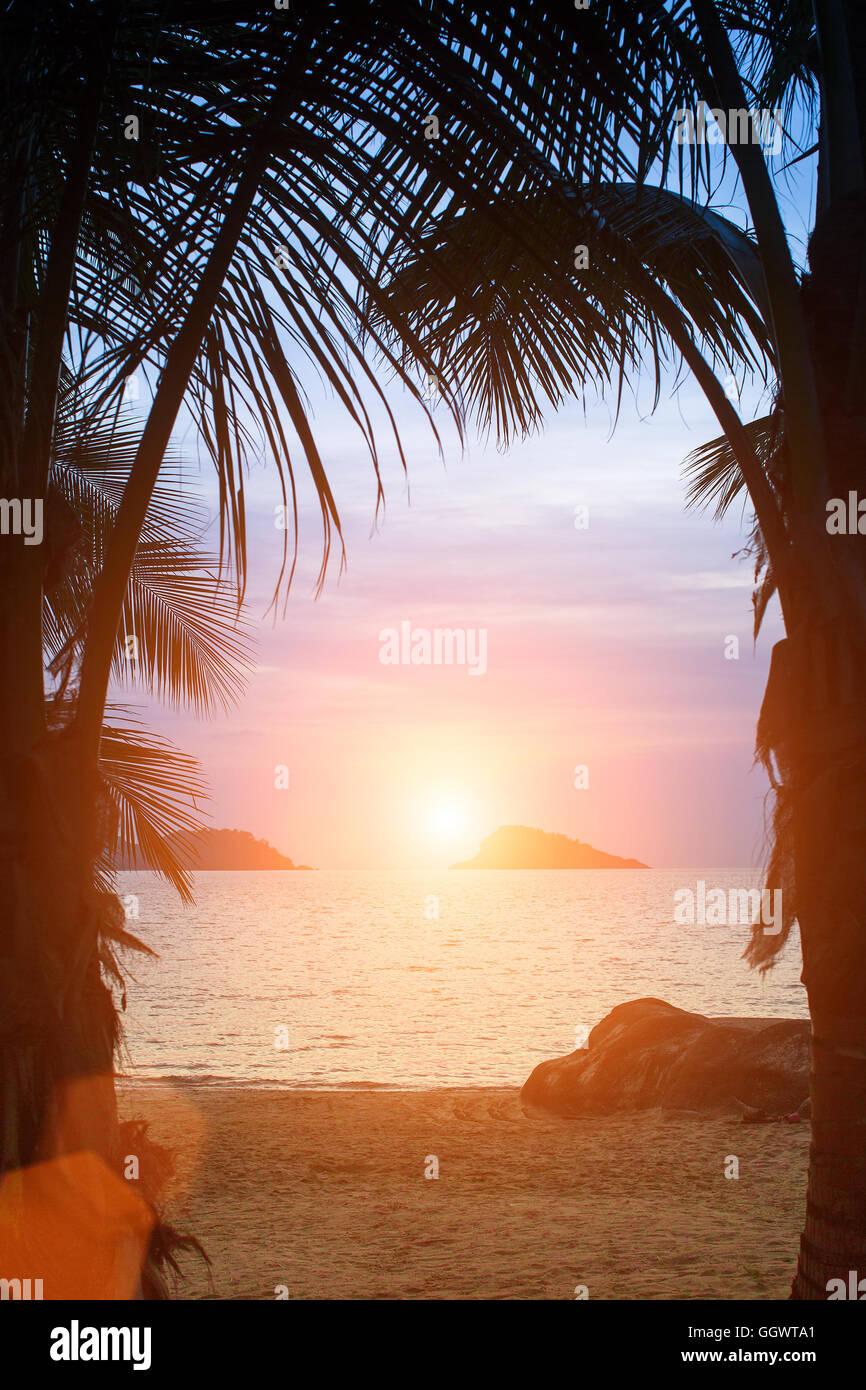 Silhouettes de palmiers sur la plage de la mer lors d'un coucher du soleil tropical. Banque D'Images