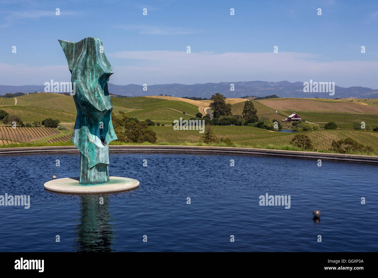 Miroir d'eau, statue par Gordon Huether, Artesa Winery, région de Carneros, Napa Valley, California, United States Banque D'Images