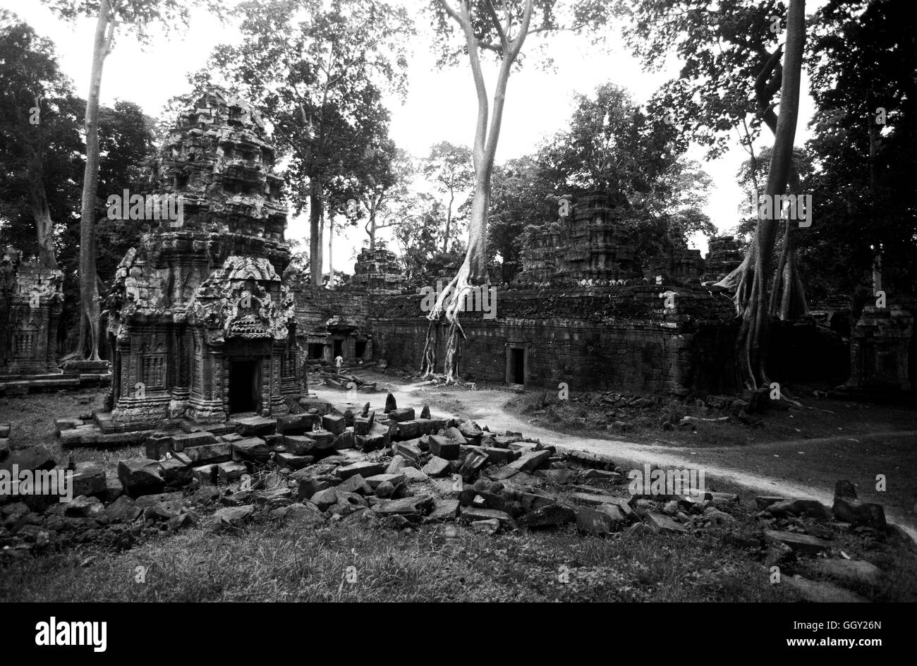 Façade d'entrée arrière vers le Temple de Ta Prohm à Angkor Wat. Siem Reap, Cambodge. Banque D'Images