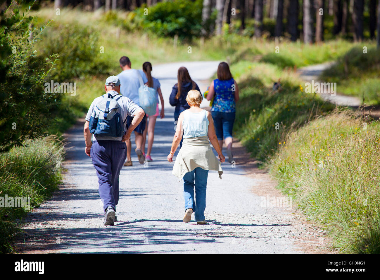 Les marcheurs bénéficiant d'une promenade à travers les étés Newborough Warren forêt sur la côte ouest d'Anglesey, au Pays de Galles, Royaume-Uni Banque D'Images