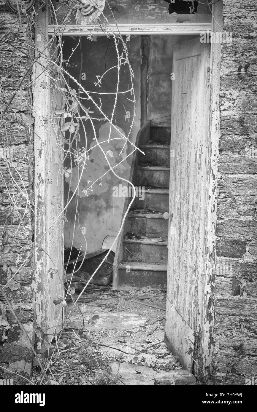 Shot vertical d'un escalier en bois oublié à l'intérieur d'une maison abandonnée vide. Banque D'Images