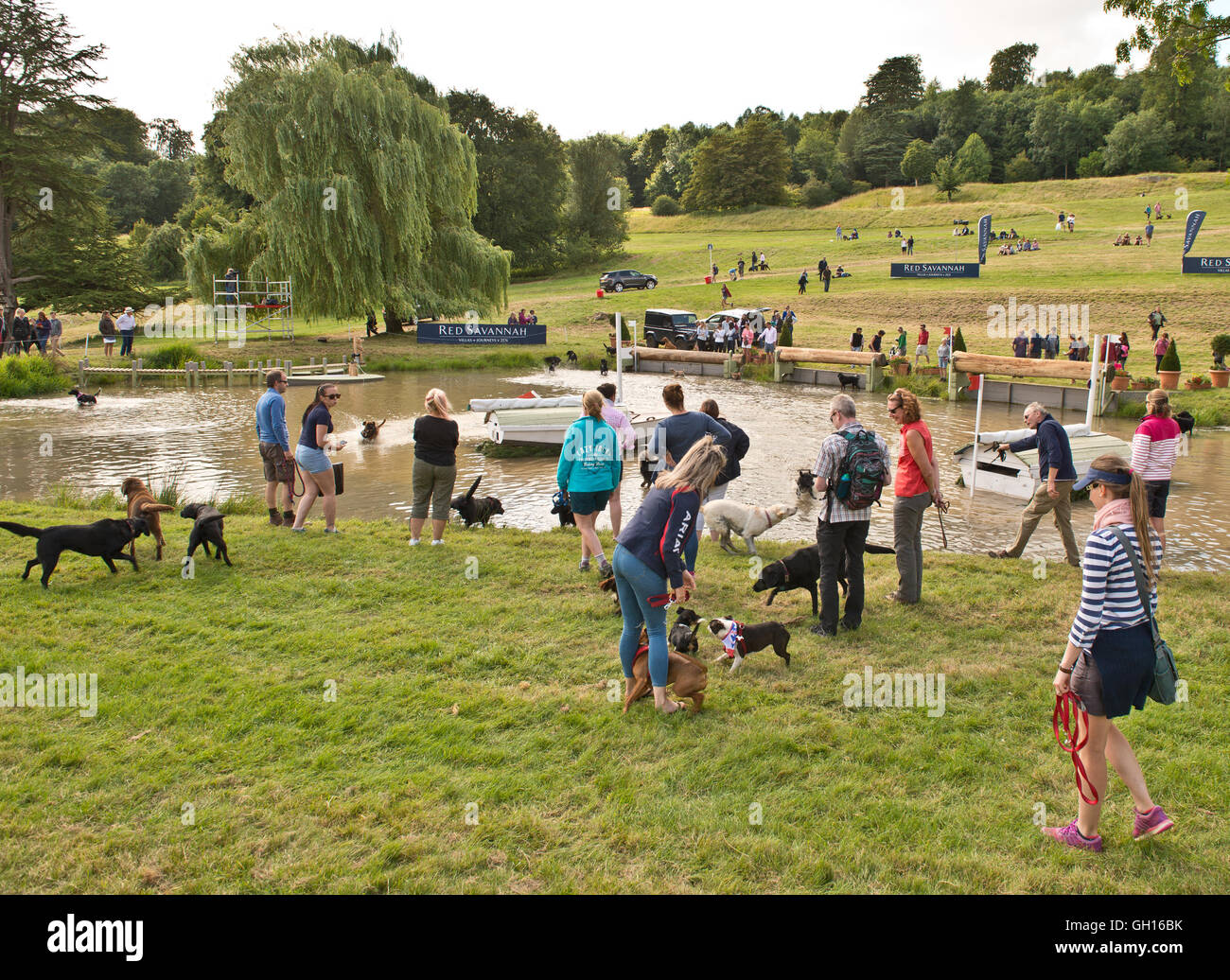 Gatcombe Park, Royaume-Uni. 7 Août, 2016. Festival britannique du Concours Complet Gatcombe Park Gloucestershire. Les chiens visiteurs vous rafraîchir dans l'eau sauter suite à l'événement de championnat. . Date 07/08/2016 Crédit : charlie bryan/Alamy Live News Banque D'Images