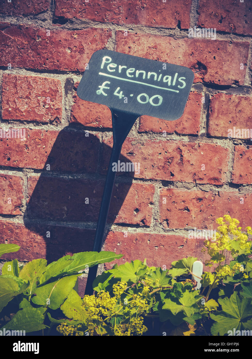 Inscrivez-vous pour une vente de plantes vivaces Banque D'Images