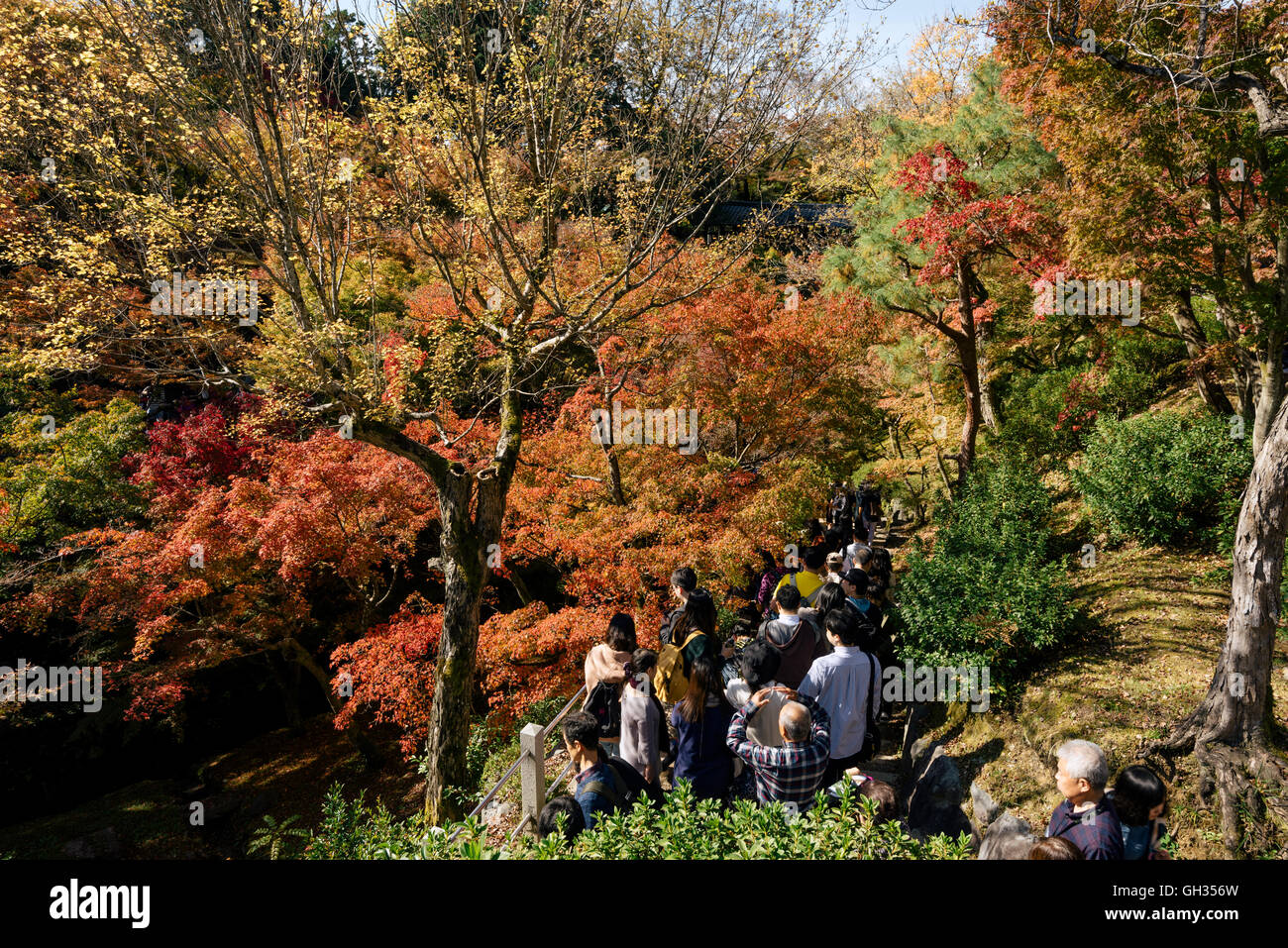 Kyoto, Japon - 16 novembre 2016 : les visiteurs de prendre des photos de l'automne couleurs au jardin Tofuku-ji à Kyoto, au Japon. Banque D'Images