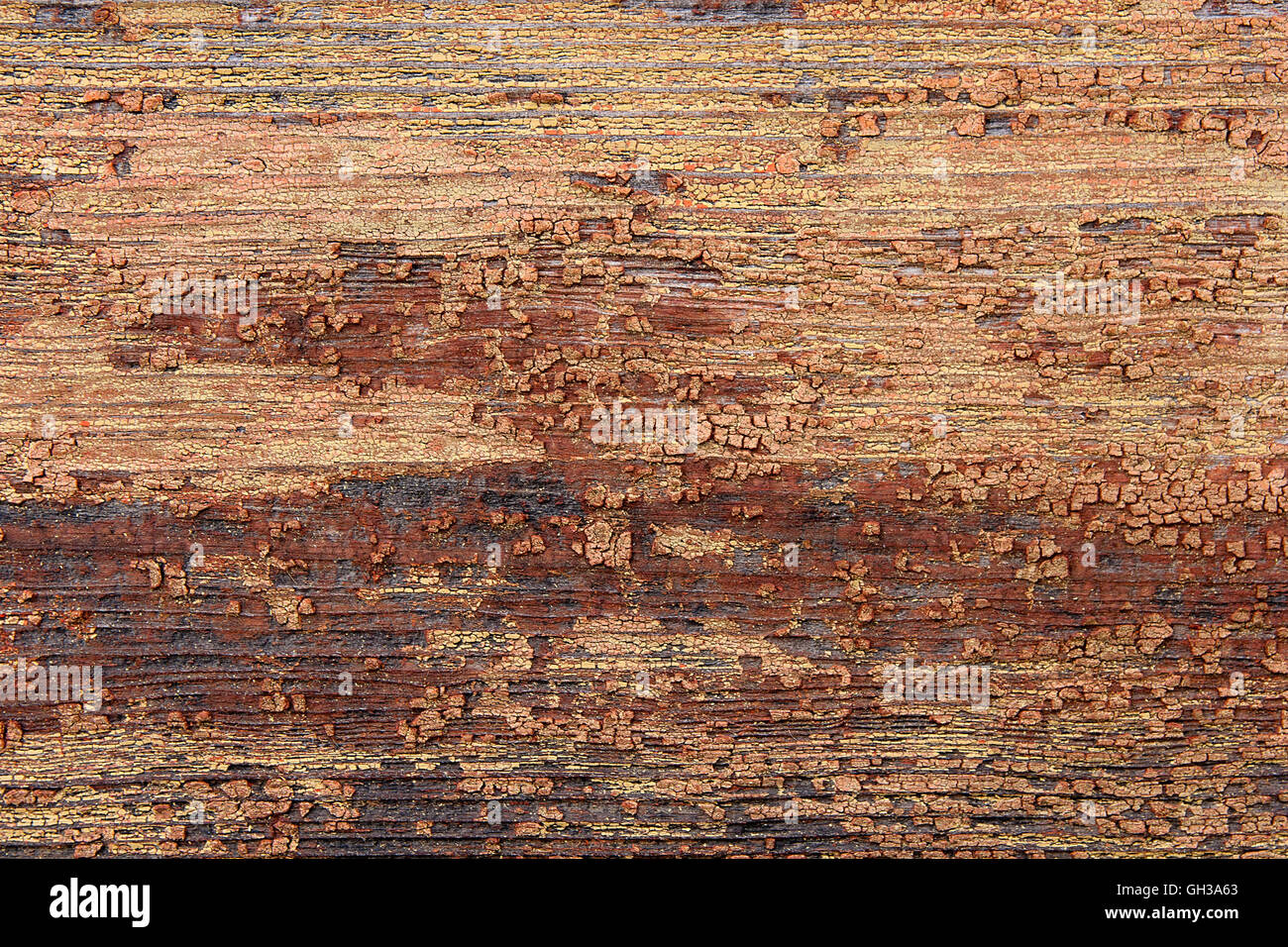 Texture bois avec peinture la couleur est arrachée. Peinture écaillée - texture de fond en bois. Banque D'Images