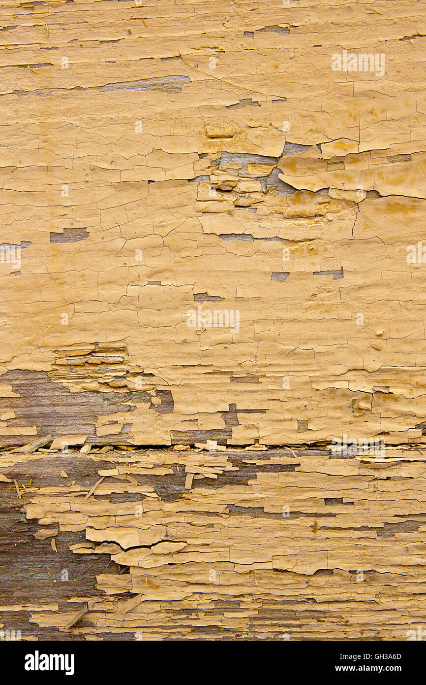 Texture bois avec peinture la couleur est arrachée. Peinture jaune écaillée - texture de fond en bois. Banque D'Images
