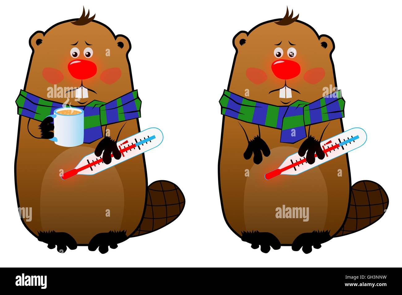 Castor malade avec thermomètre et mug sur fond blanc Banque D'Images