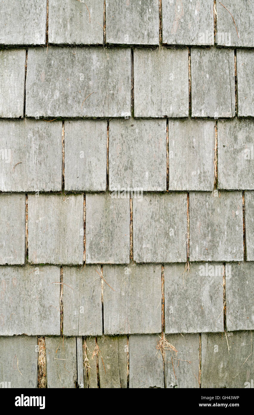Les bardeaux de bois patiné Banque D'Images