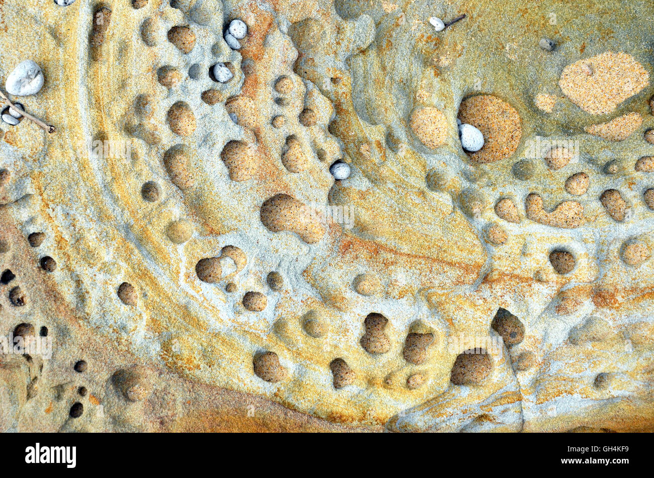 Des modèles variés, des couleurs, des formes et des couches de grès patiné naturel sur la côte de Sydney, Nouvelle Galles du Sud, Australie Banque D'Images