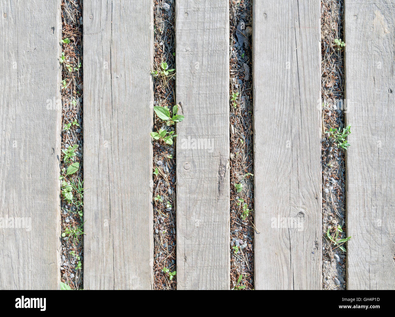 Plusieurs planches de bois gris, allongé sur le sol Banque D'Images