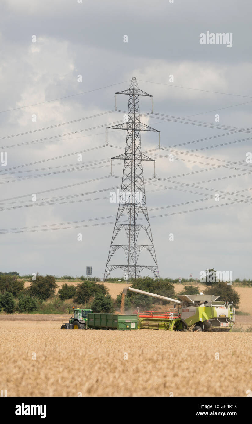 Off, le chargement, l', Harvester, blé, charge, sur l'attente, tracteur, remorque, transport,, il à l'étable, ou de production, Banque D'Images