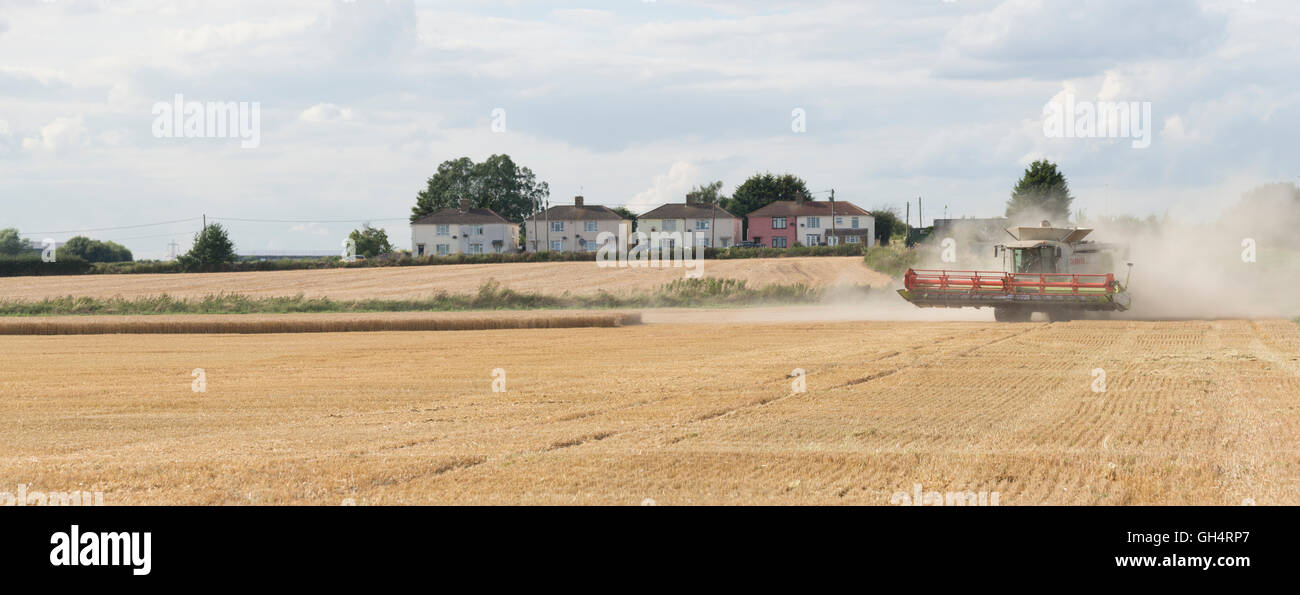 Harvester, machines, ferme, terrain, RIPE, British, la récolte, la récolte, la poussière, la chasse, poursuite, heureux, heureux, mépris, remarque, Banque D'Images