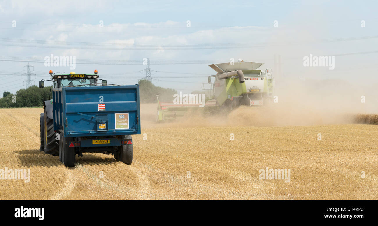 Harvester, machines, ferme, terrain, RIPE, British, la récolte, la récolte, la poussière, la chasse, poursuite, heureux, heureux, mépris, remarque, Banque D'Images