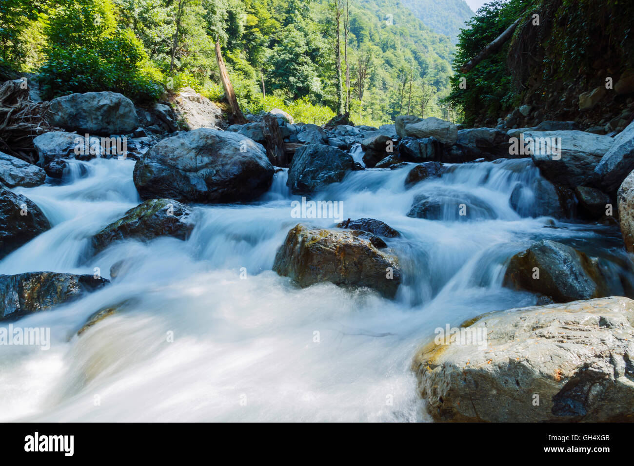 Mountain river rapids bleu vert de la forêt de l'eau du Caucase Banque D'Images Mountain river rapids bleu vert de la forêt de l'eau du Caucase Banque D'Images