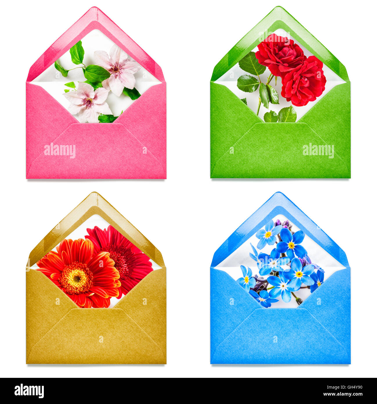 Enveloppe avec rose, gerbera, Clematis, collection de fleurs ne m'oublie pas. Groupe objets isolé sur fond blanc. Banque D'Images