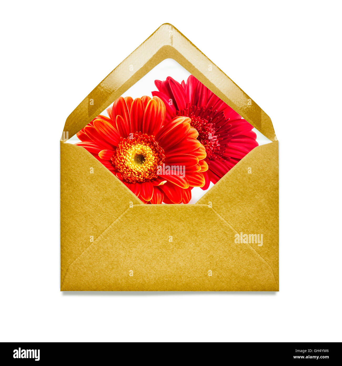 Enveloppe jaune avec gerbera fleurs Daisy. Seul objet isolé sur fond blanc chemin de détourage inclus. Floral design Banque D'Images