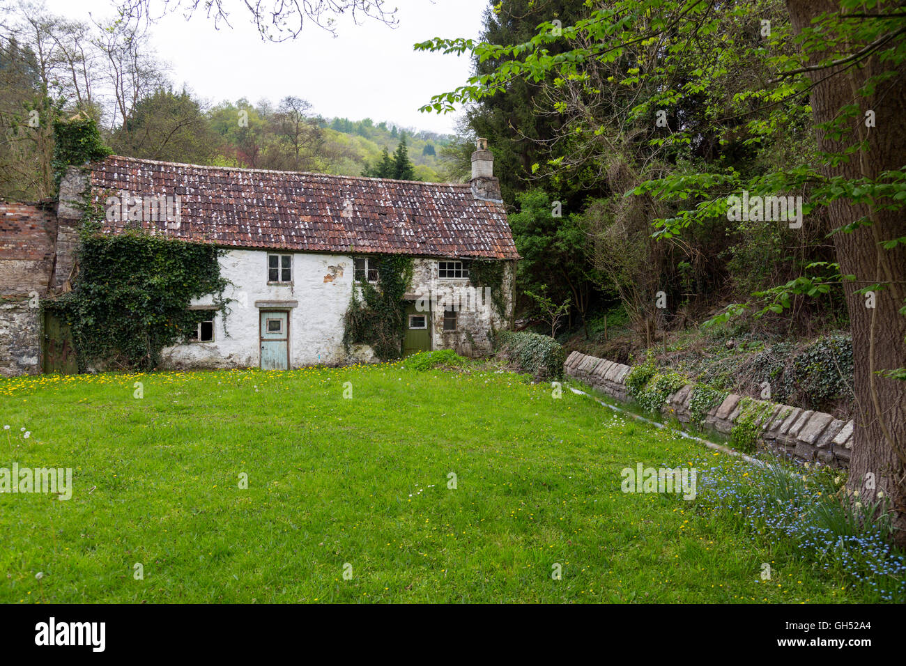 L'abandon d'un cottage dans le village de Tintern sur la rivière Wye, Monmouthshire, Wales, UK Banque D'Images