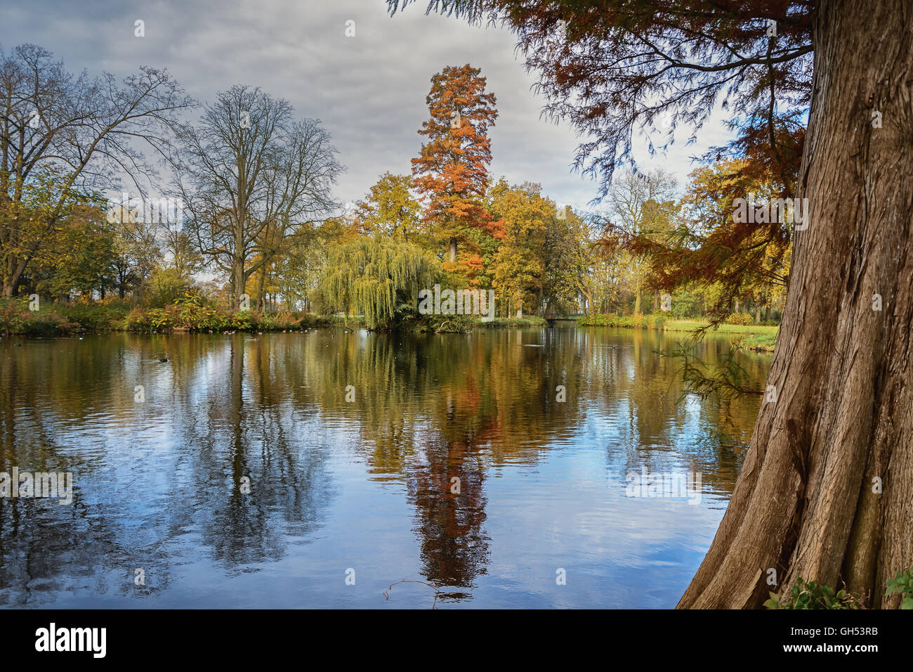 La beauté enchanteresse de l'automne parc. Banque D'Images