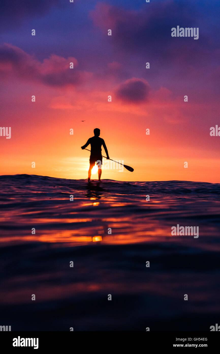 Surfer debout sur son paddle board à le coucher du soleil Banque D'Images