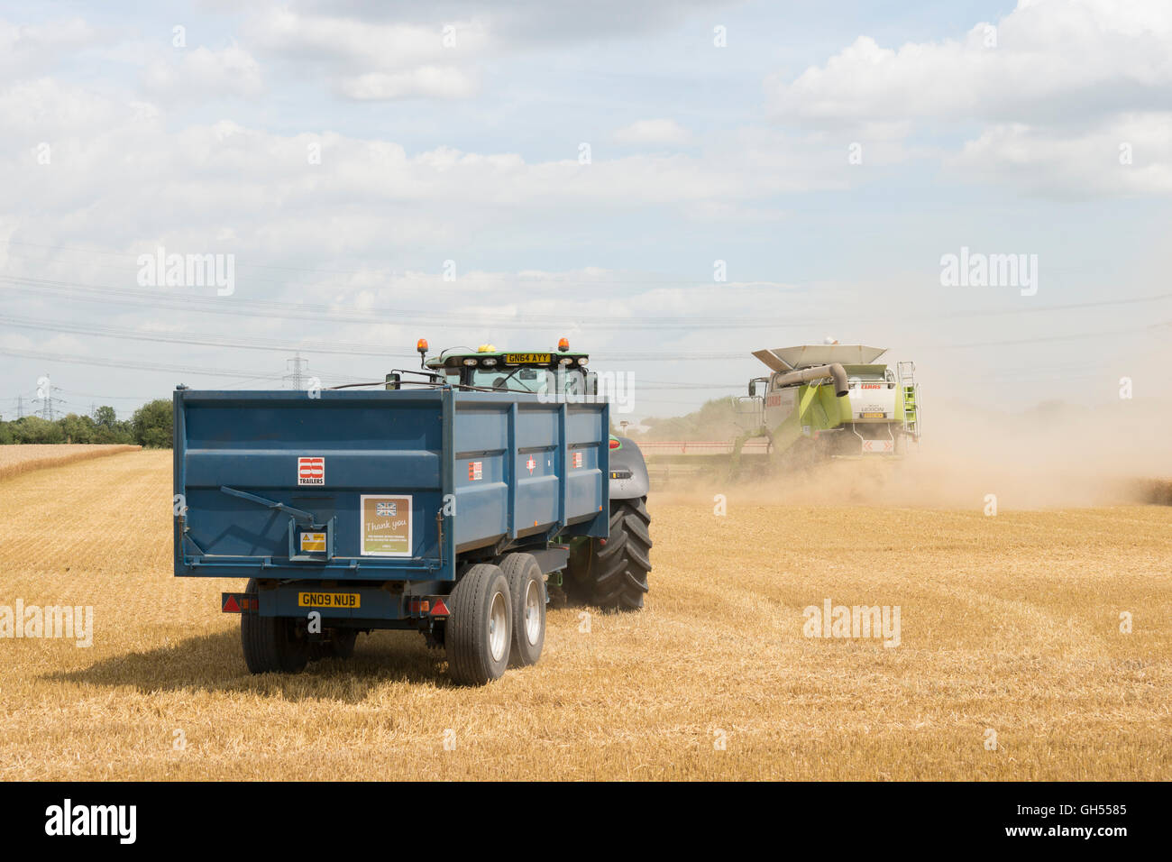 Harvester, machines, ferme, terrain, RIPE, British, la récolte, la récolte, la poussière, la chasse, poursuite, heureux, heureux, mépris, remarque, Banque D'Images