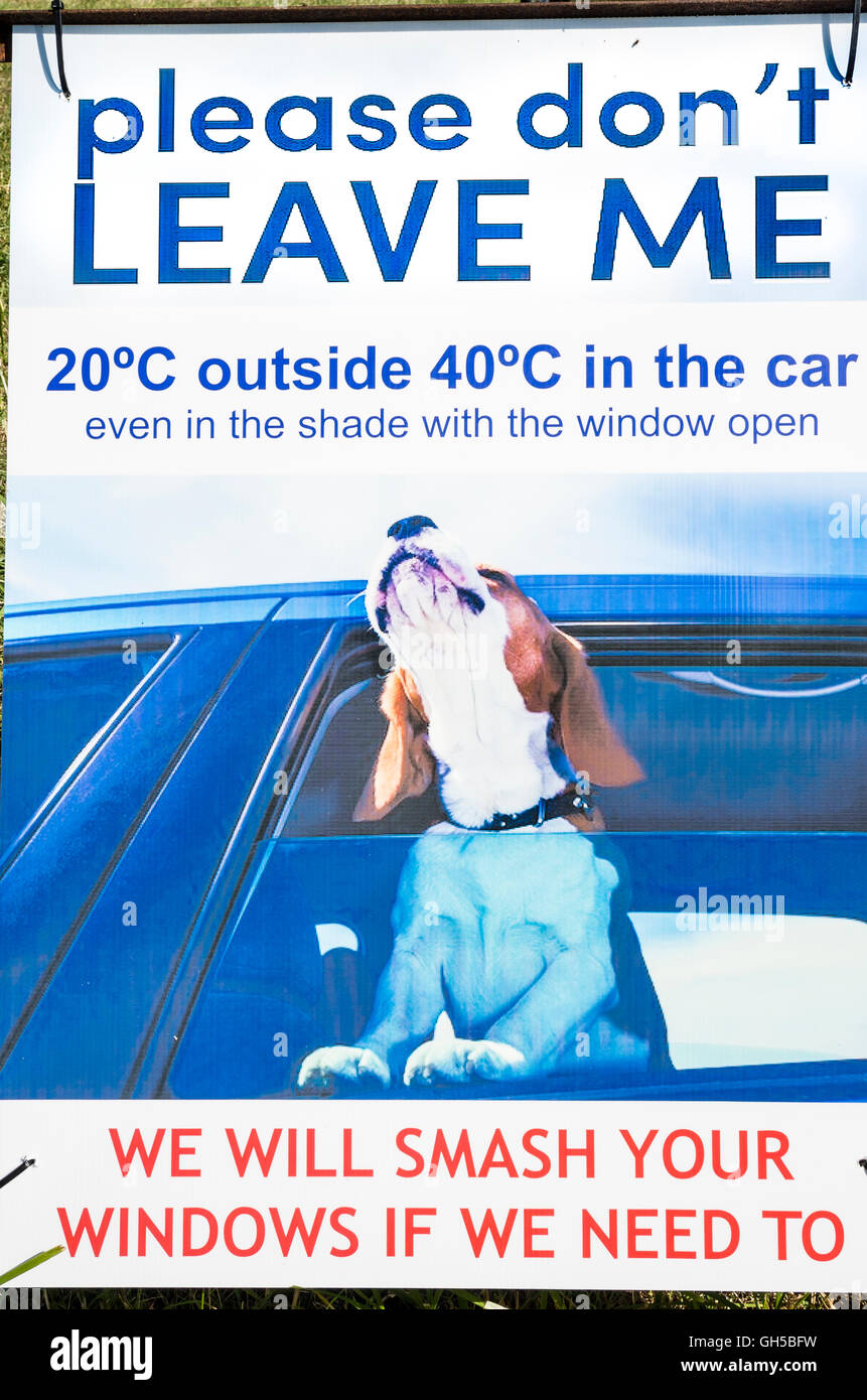 Une affiche d'avertissement danger de laisser vivre les animaux dans une voiture verrouillée pendant la saison chaude menant à la détresse et la mort Banque D'Images