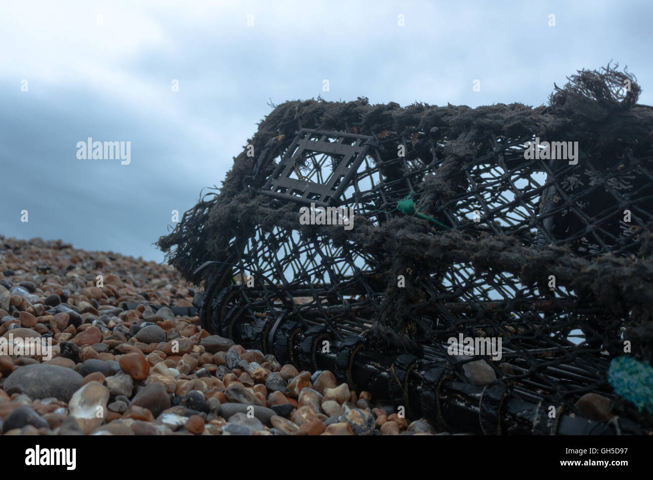 / Crabe lobster pot trouvés échoués sur la plage de seaford Banque D'Images