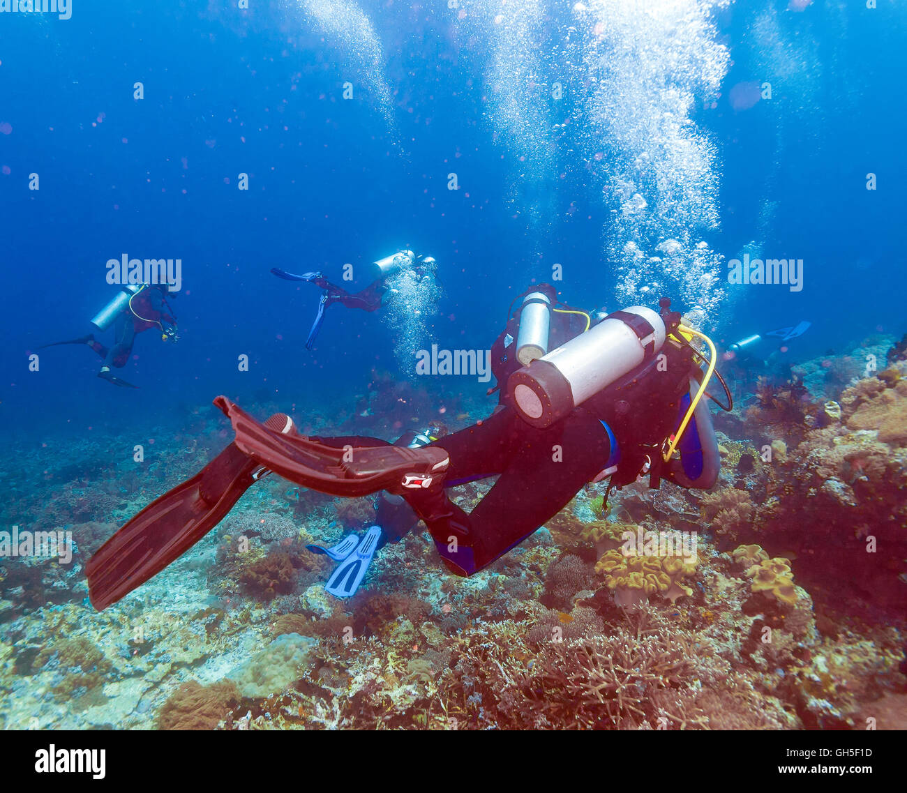 Groupe de plongeurs aller loin, Bali Banque D'Images