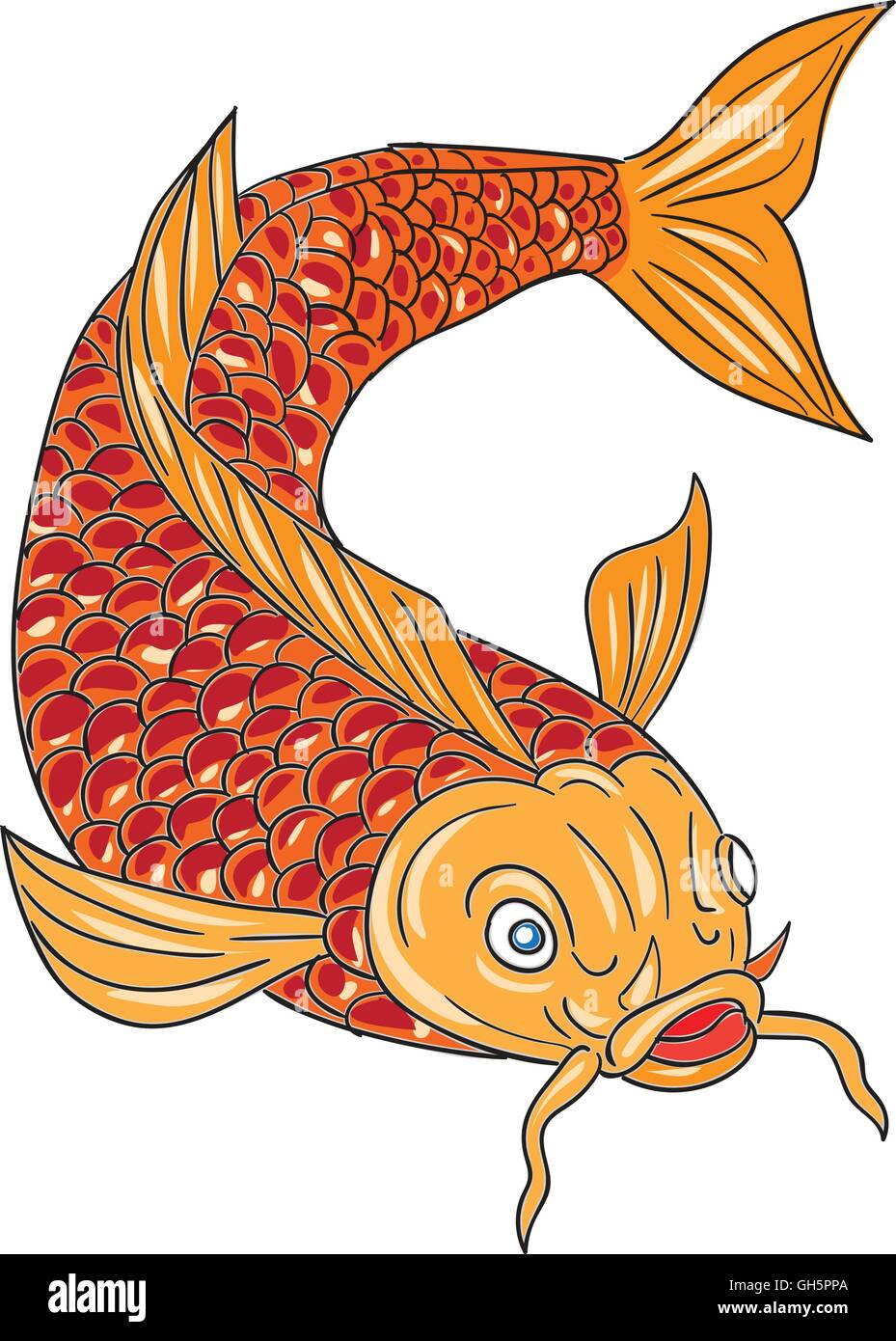 Croquis dessin illustration d'un style de nage des poissons truite plongée vers le bas du point de vue de l'avant ensemble isolées sur fond blanc. Illustration de Vecteur