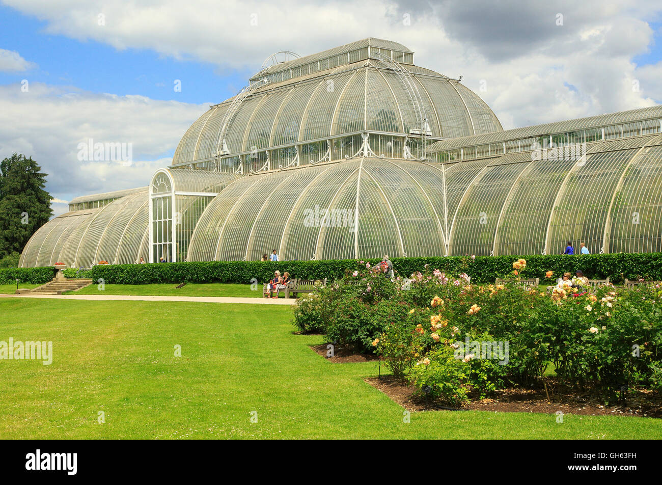 Le Palm House at Royal Botanic Gardens, Kew, Londres, Angleterre, Royaume-Uni Banque D'Images