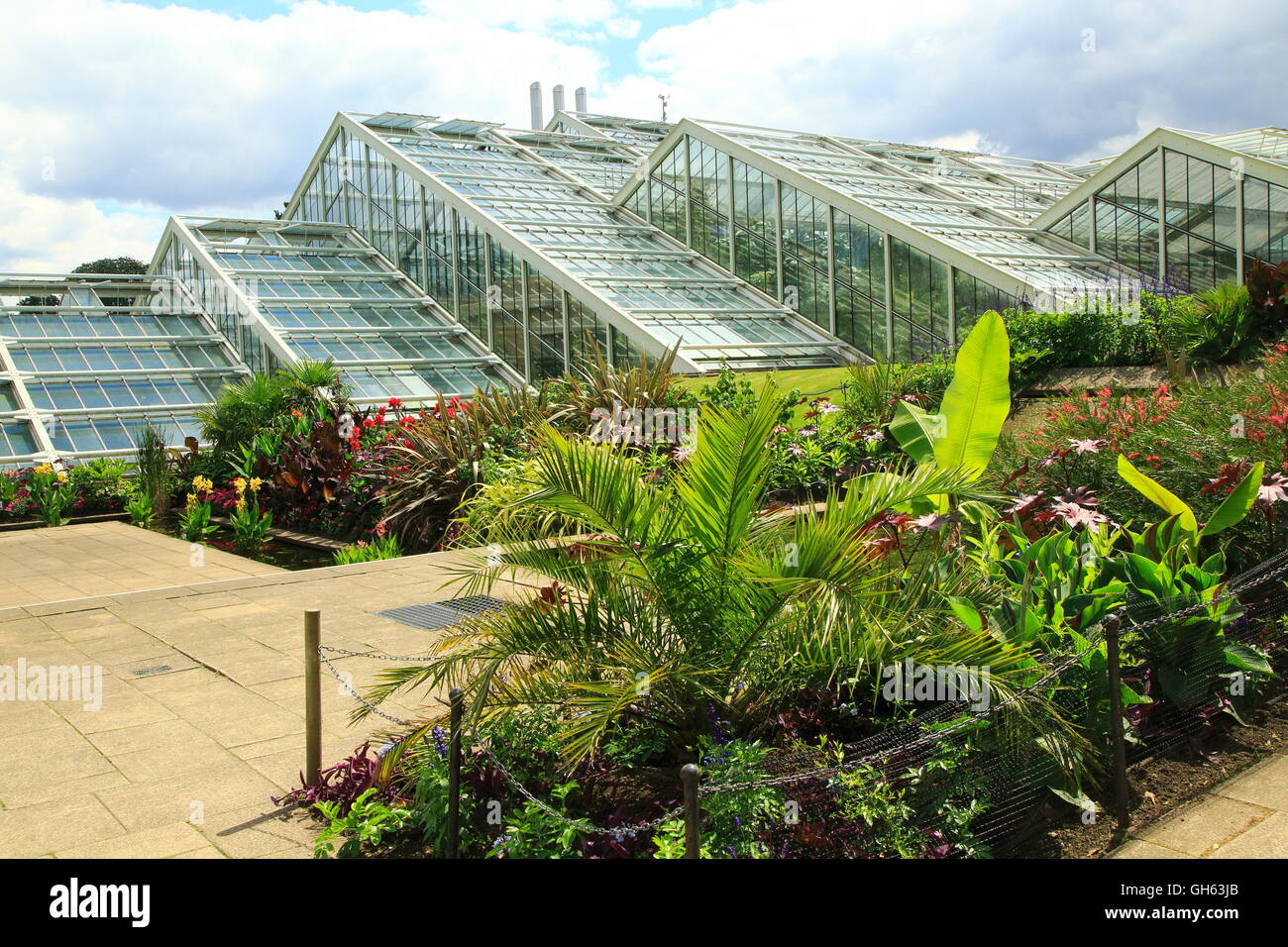 Princess of Wales conservatory serres, Kew Gardens, London, England, UK Banque D'Images