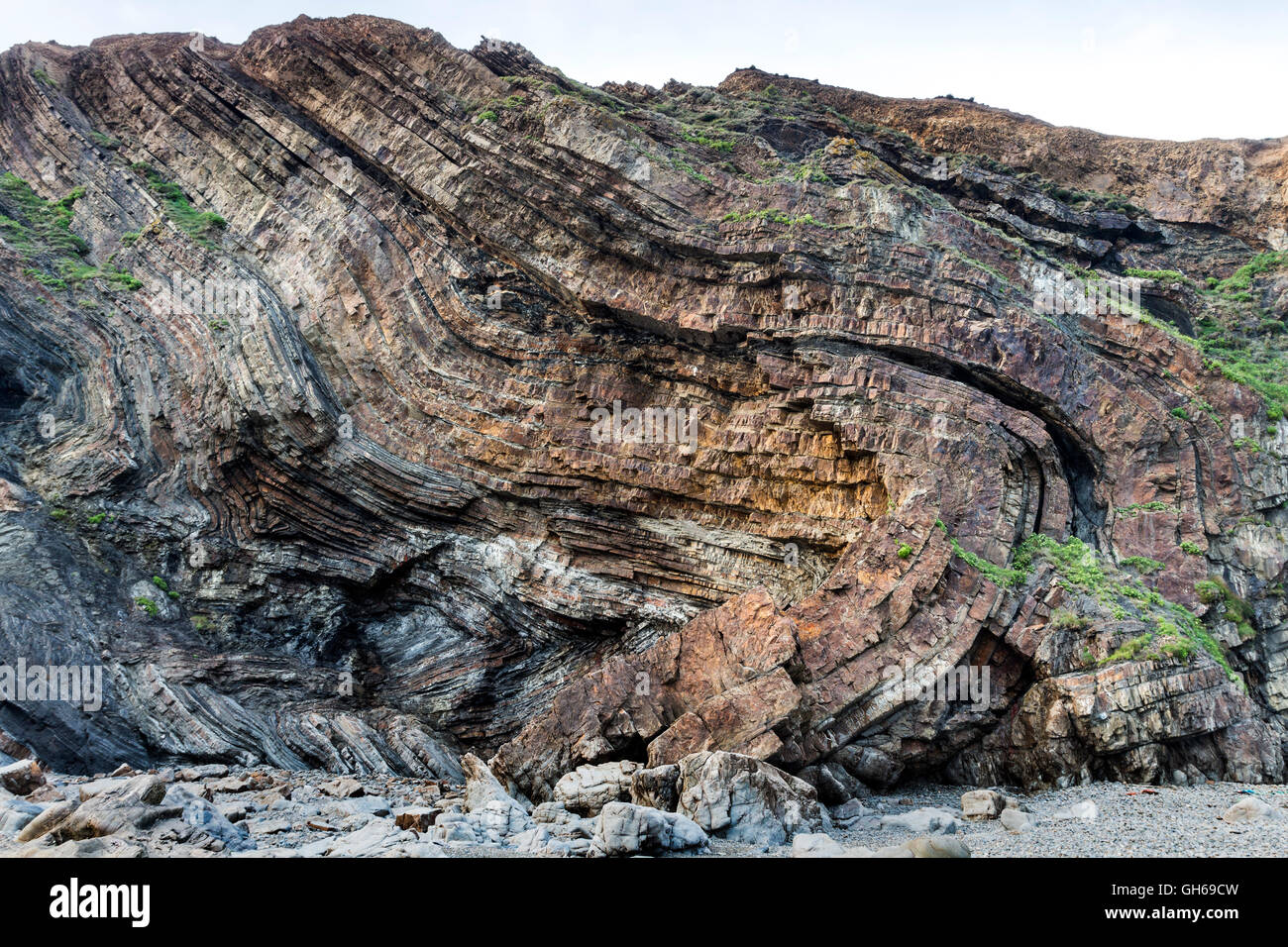 Lits de grès et de shale repliée connue comme la formation à Bude Efford fossé, Bude, Cornwall, UK Banque D'Images