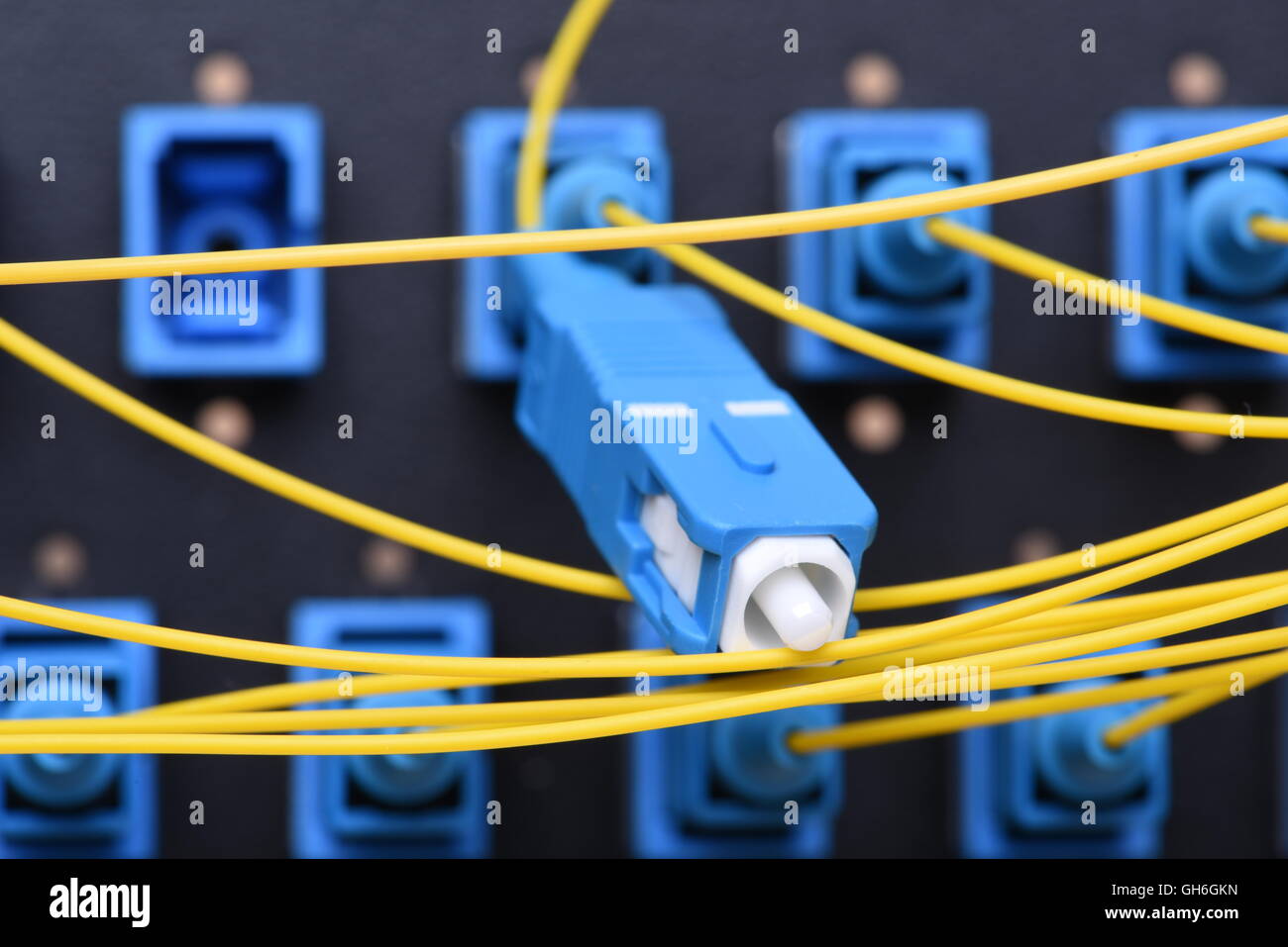 Réseau fibre optique câbles réseau jaune avec connecteurs SC Banque D'Images