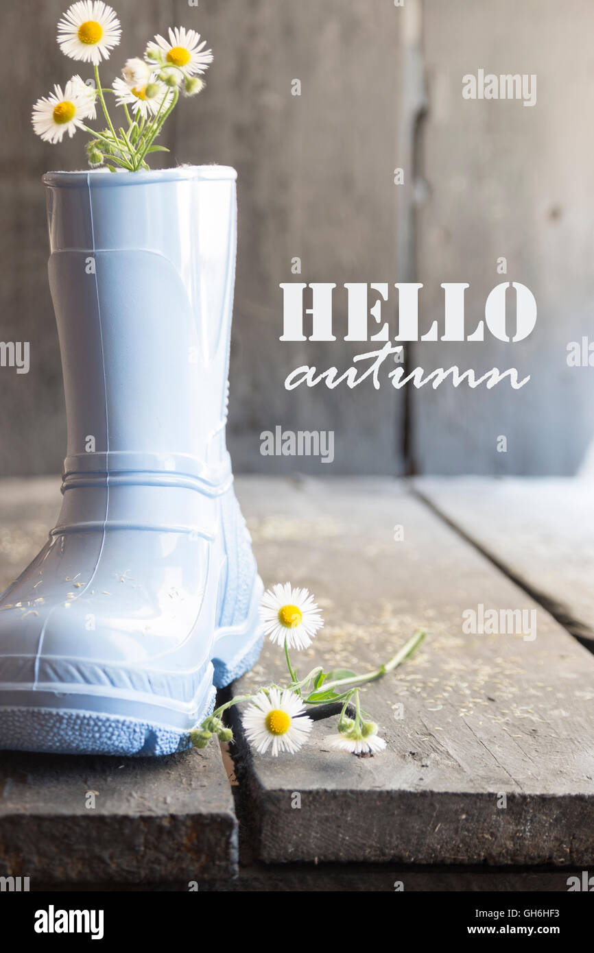 Texte de l'automne bonjour, Daisy et bottes sur un vieux millésime, table Banque D'Images