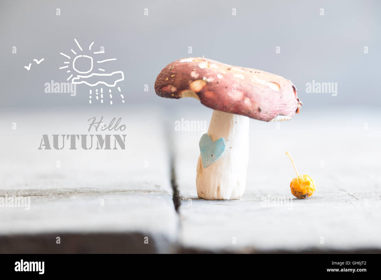 Bonjour idée d'automne Banque D'Images