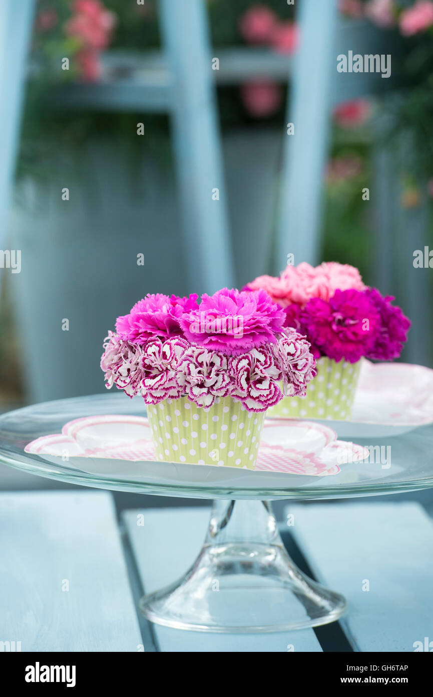 Dianthus cupcakes fleurs sur une table à l'affichage à un flower show. UK Banque D'Images