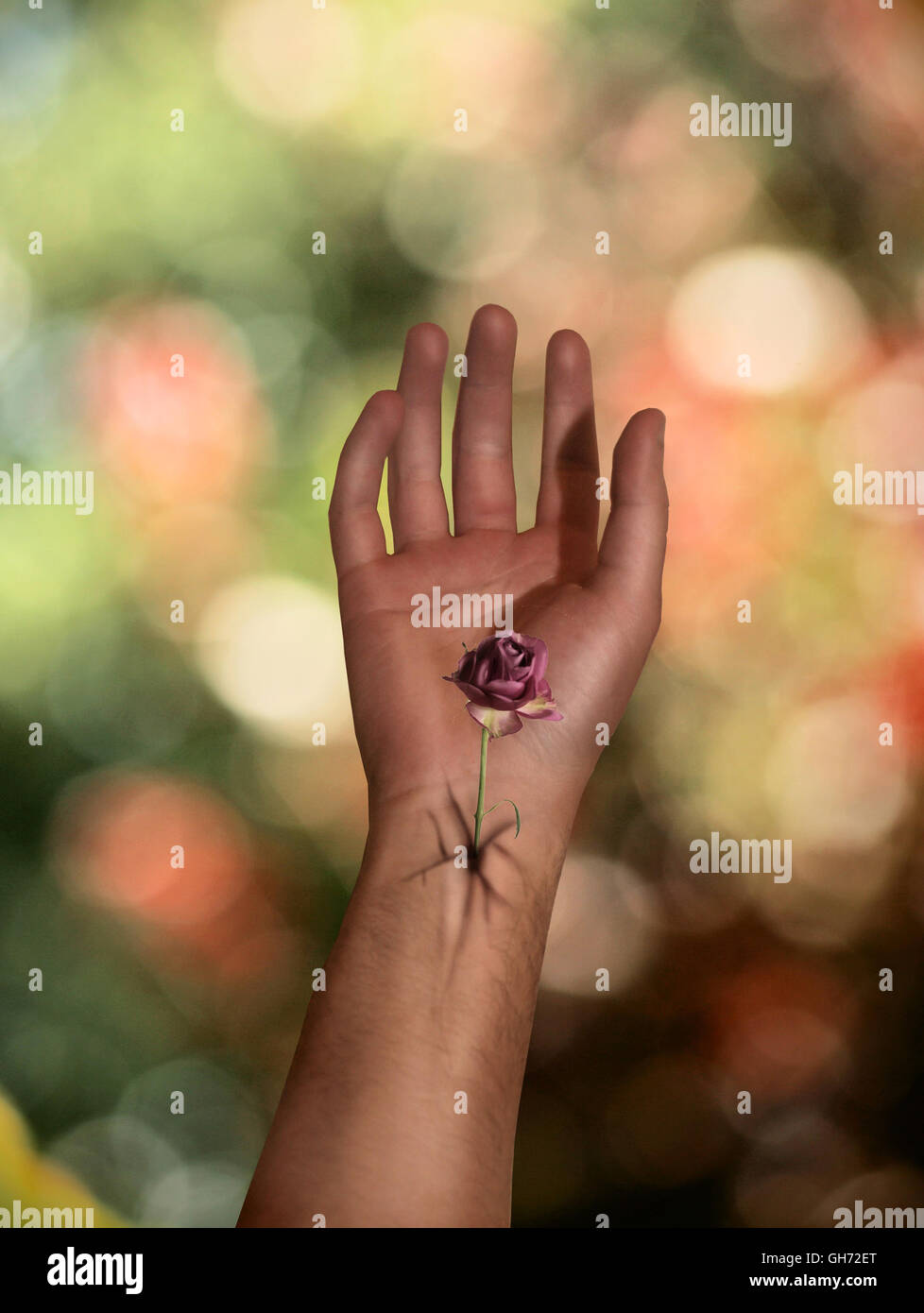 Une manipulation photoshop ; dark fantasy Banque D'Images