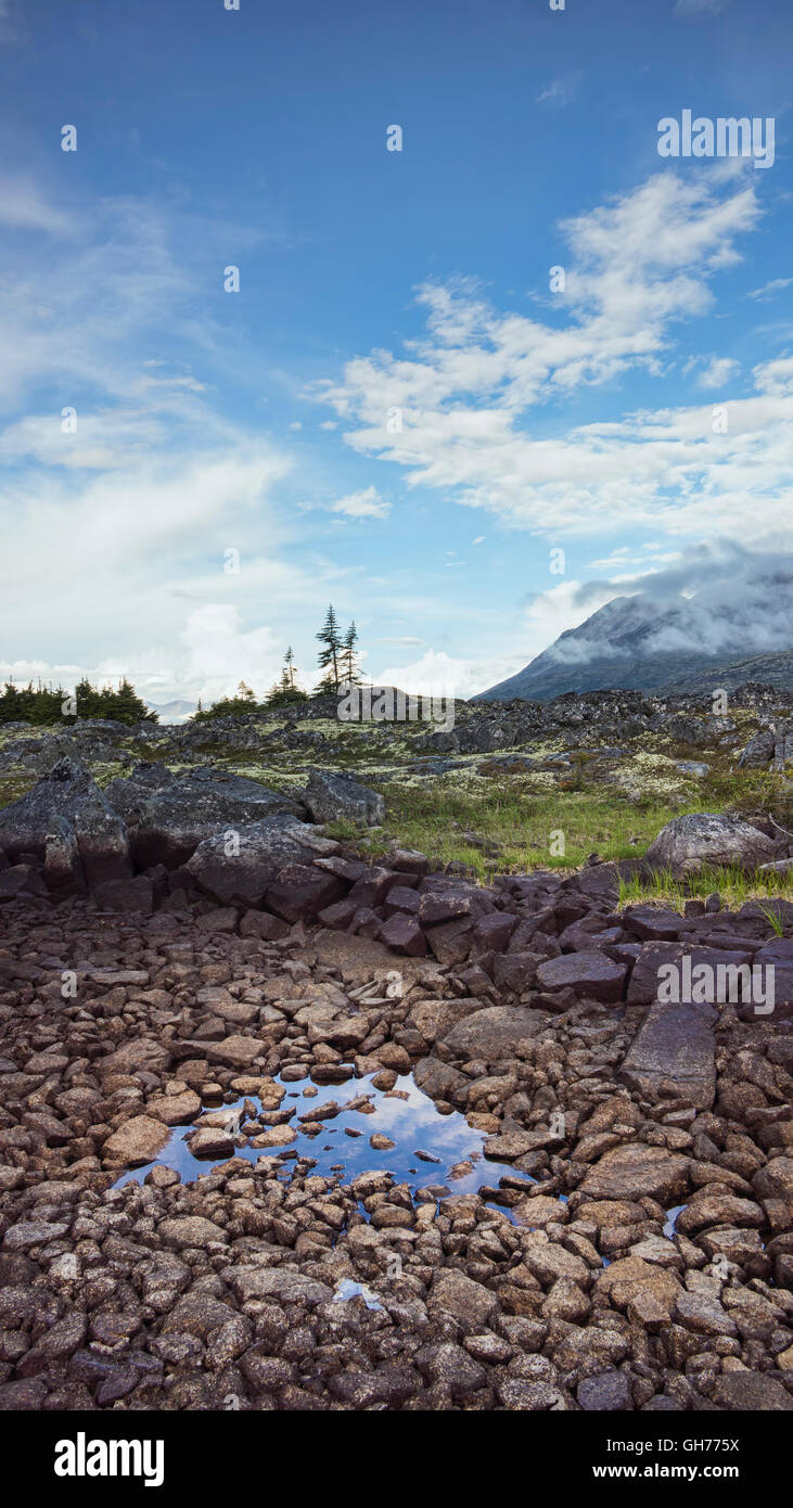 Paysage à White Pass avant la frontière canadienne dans la lumière du soir. Banque D'Images