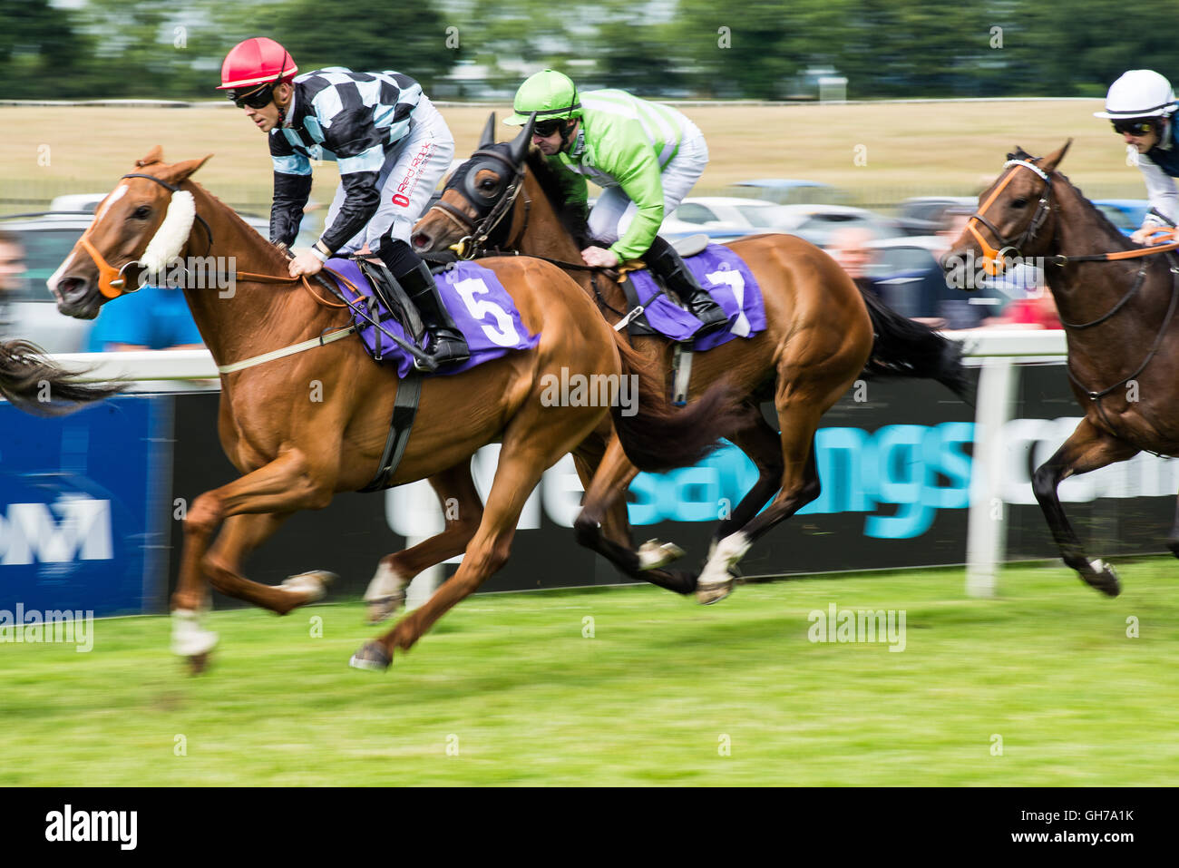 Une course de chevaux réunion à Beverley racecourse Banque D'Images