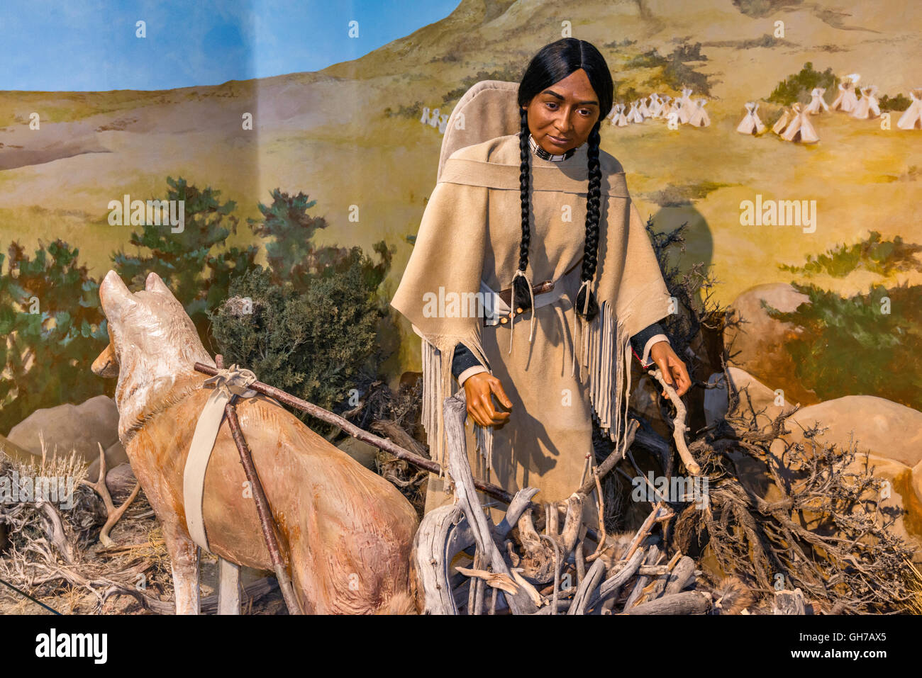 Femme Shoshone la collecte du bois, diorama au musée en 1880, casernes, site historique d'état de Fort Bridger, Wyoming, USA Banque D'Images